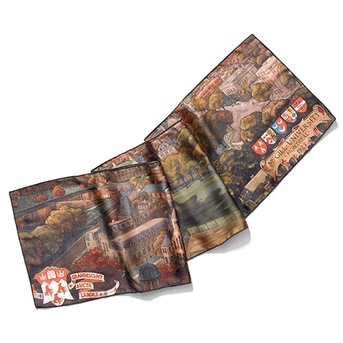 Bird's-Eye View of McGill Rectangular Silk-Touch Scarf