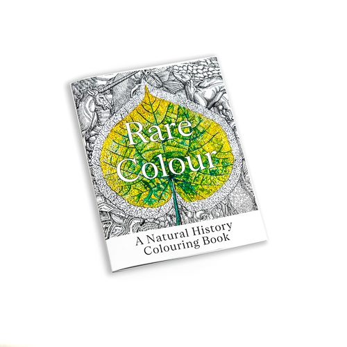 McGill Rare Colour Natural History Colouring Book