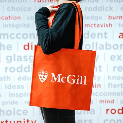 LARGE BAG