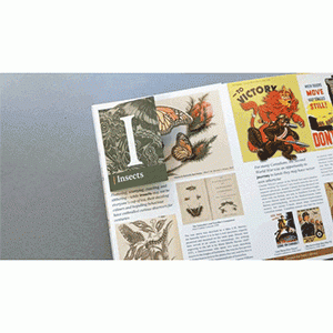 AMAZE: A McGill A - Z  Experience