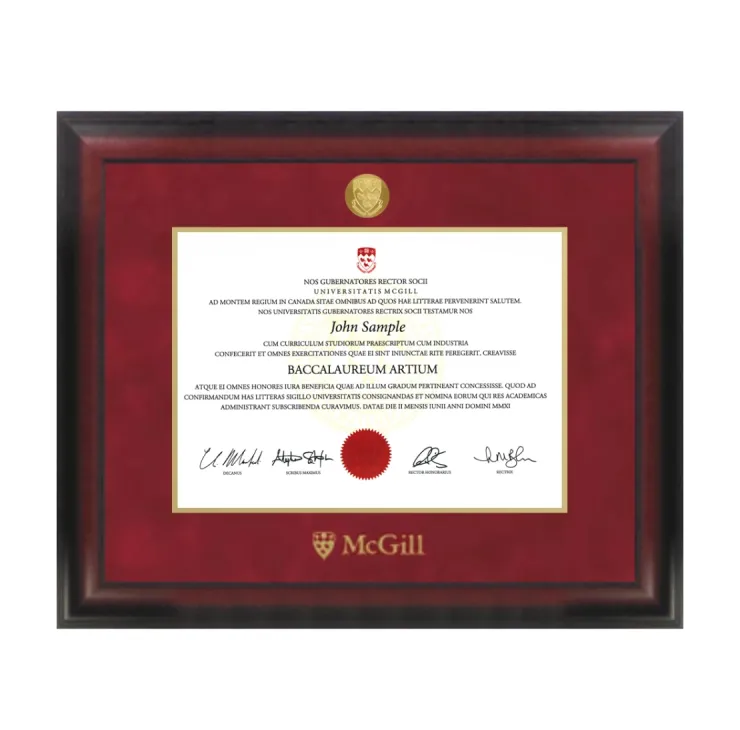 McGill diploma frame in cherry wood frame with red sueded mat, gold medallion, and McGill crest.