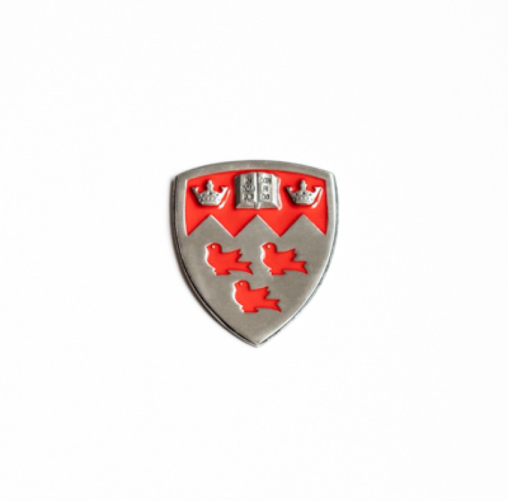 Pewter Car Ornament Collectible	