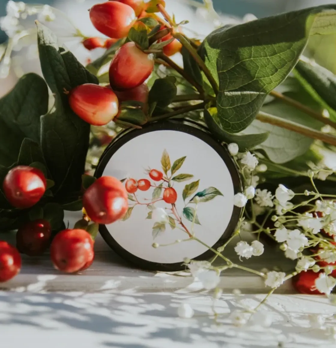 The Plains body balm in black tin with botanical rosehip illustration, displayed among red berries and greenery.