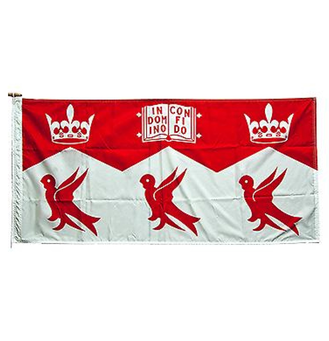McGill University flag for school pride