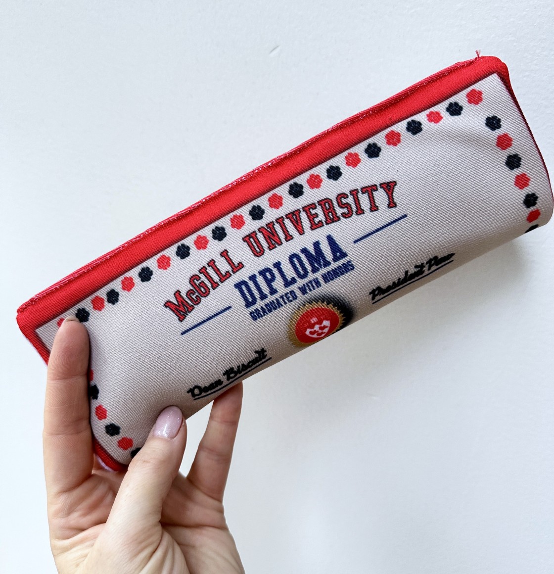 Dog toy with 2 squeakers made to look like a diploma