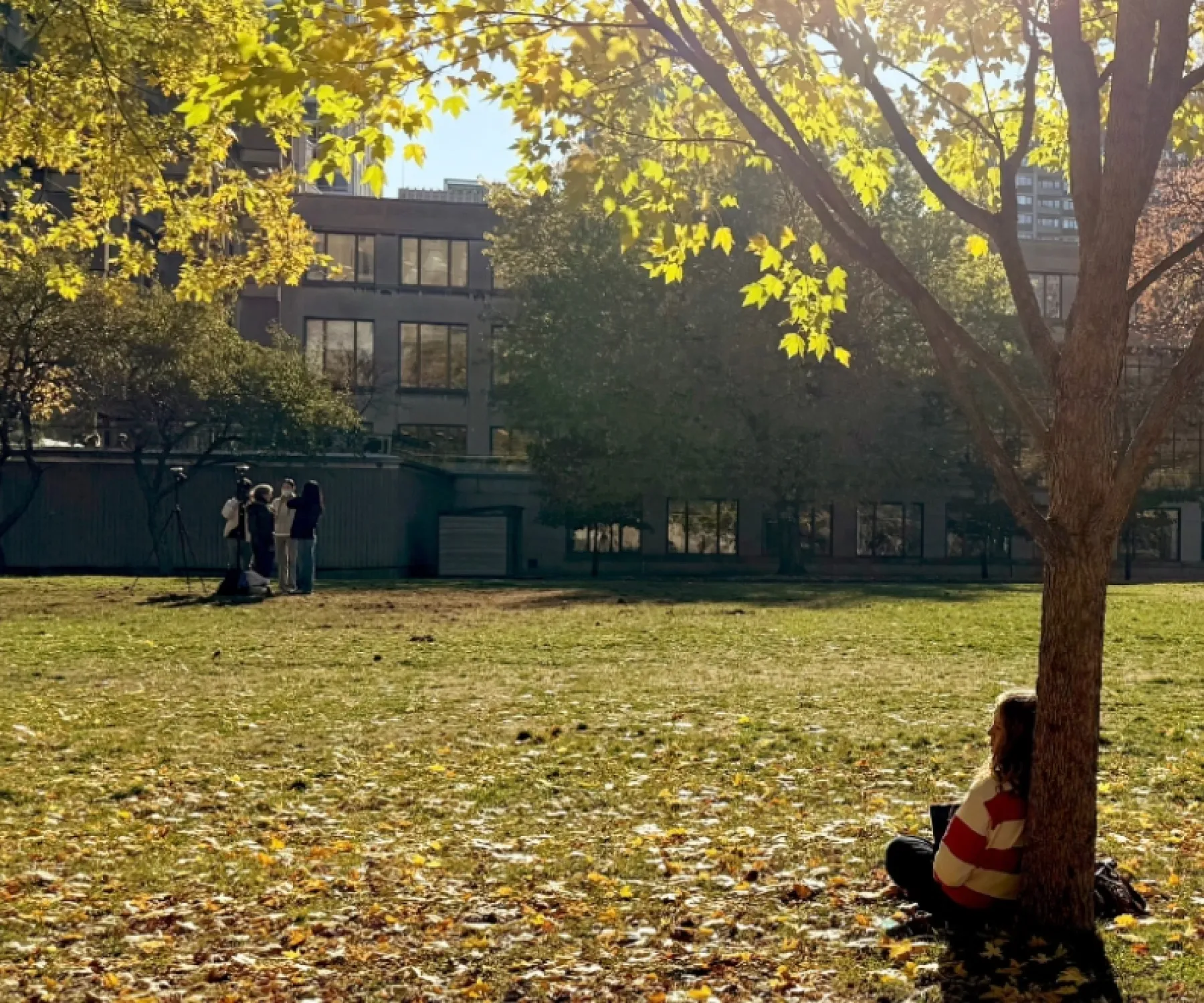 Mcgill Campus in the fall